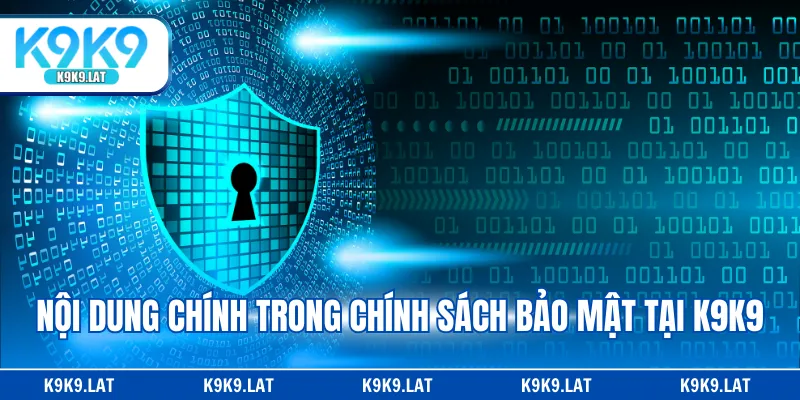 Nội dung chính trong chính sách bảo mật tại K9K9