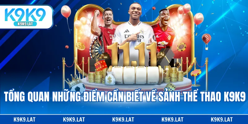 Tổng quan những điểm cần biết về sảnh thể thao K9K9